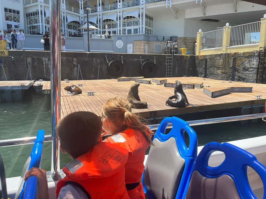 Cape Town: Harbor Cruise - What the 40-Seat Dawn Boat Means