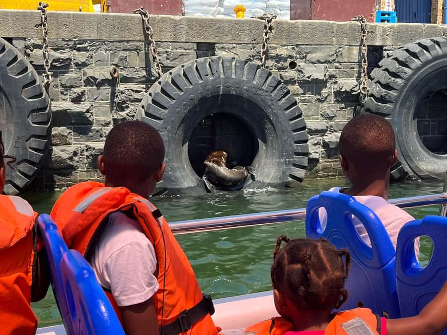 Cape Town: Harbor Cruise - Timing, Delays, and Planning Your Day