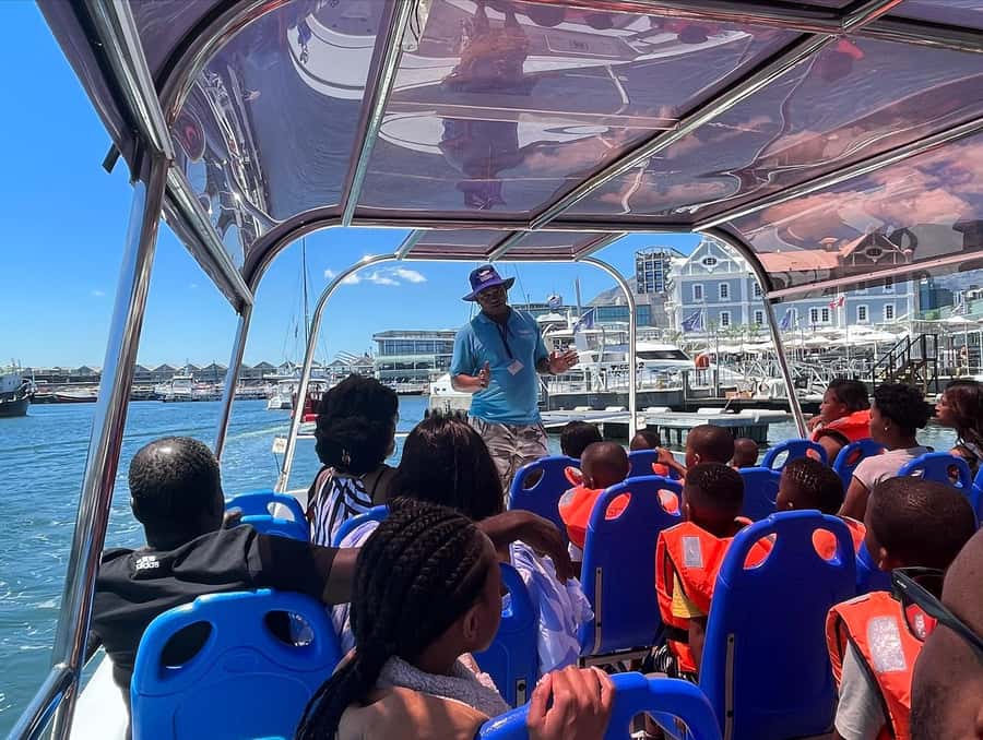 Cape Town: Harbor Cruise - Cape Fur Seals and Other Wildlife