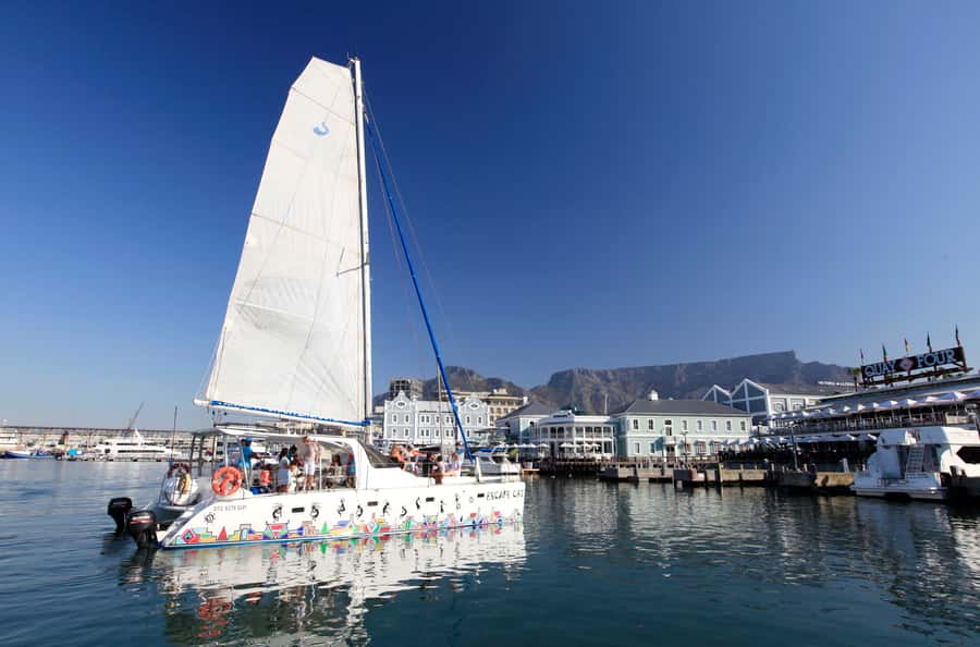 Cape Town: Table Bay Cruise by Catamaran - The Table Bay view of Table Mountain