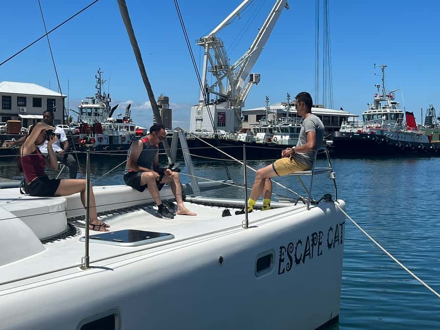 Cape Town: Table Bay Cruise by Catamaran - Practical planning for a smooth departure