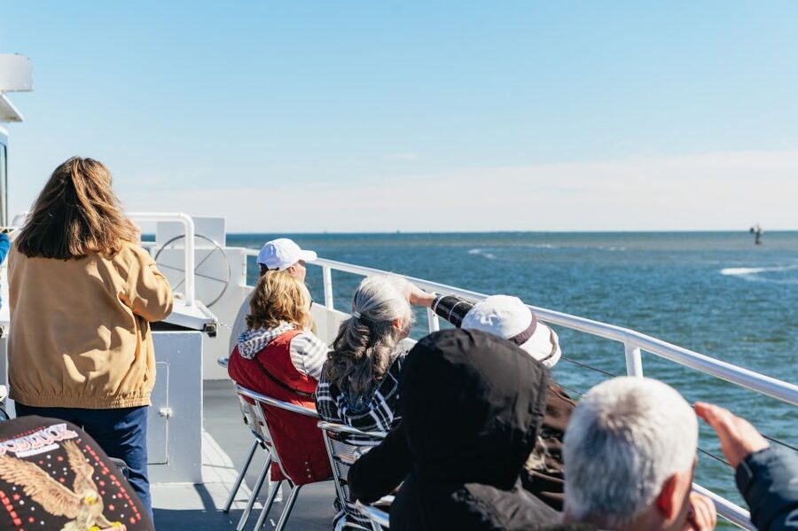Charleston: Daytime or Sunset Historic Harbor Cruise - Daytime or sunset: which departure should you choose?
