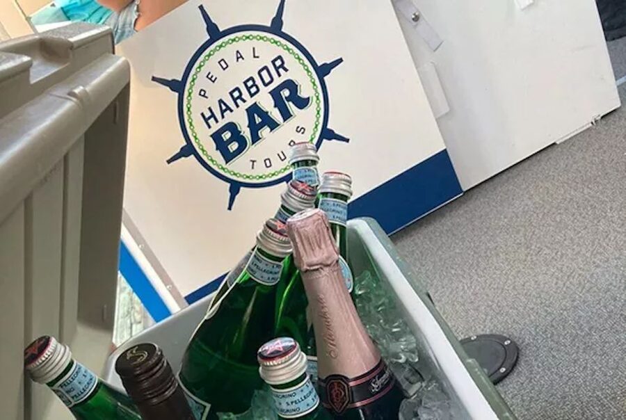 Charleston: Harbor Bar Pedal Boat Party Cruise - Practical tips for a smoother outing