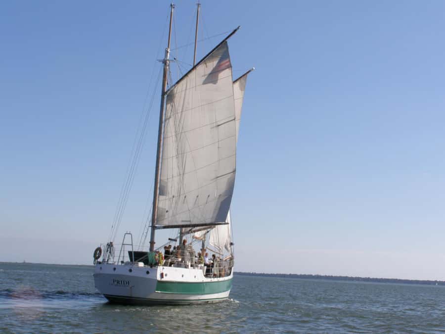 Charleston: Schooner Sailing Harbor Tour & Dolphin Watch - Key points to know before you sail