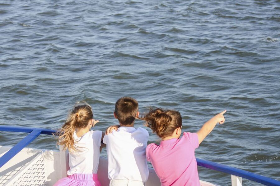 Charleston: Sightseeing Harbor Tour & Dolphin Watch - Fort Sumter and the story of the Civil War