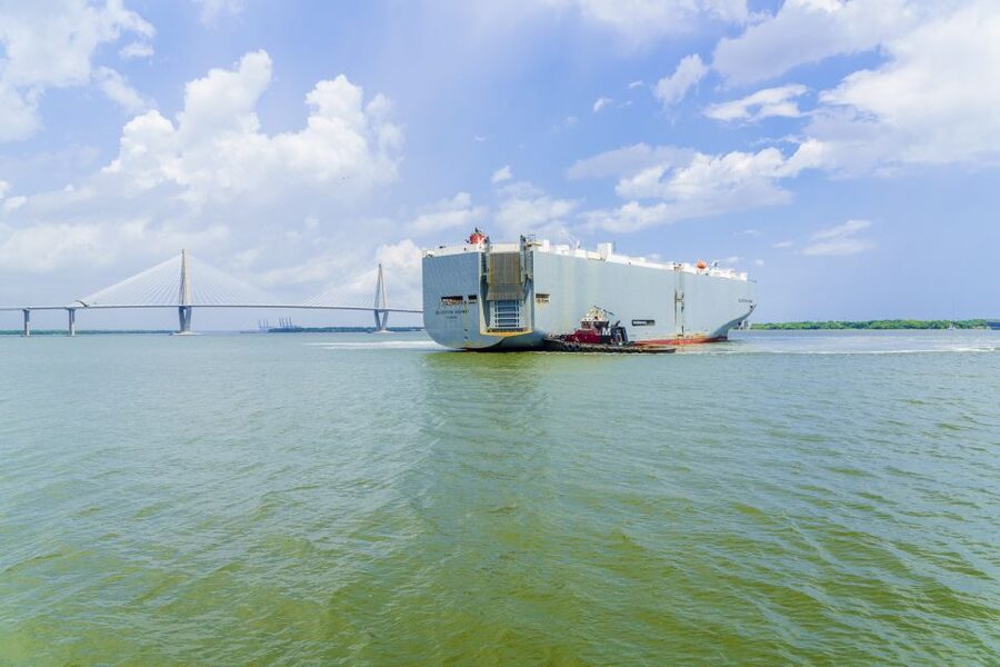 Charleston: Sightseeing Harbor Tour & Dolphin Watch - The Battery and Charleston’s waterfront edge