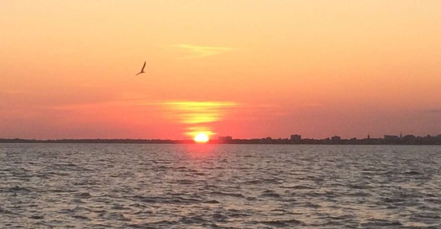 Charleston: Sunset Harbor Cruise - From the Maritime Center to the Open Harbor