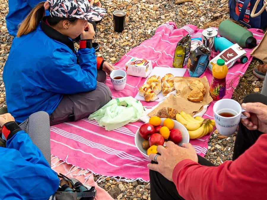 Christchurch: Sea Kayaking Tour of Lyttelton Harbour - Practical preparation for the morning
