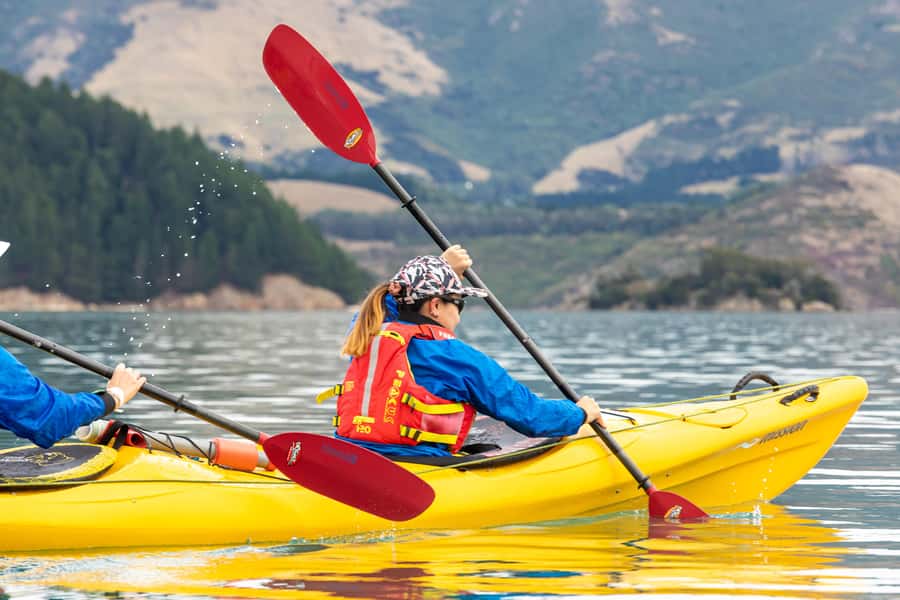 Christchurch: Sea Kayaking Tour of Lyttelton Harbour - Why Lyttelton Harbour is such a good kayaking setting