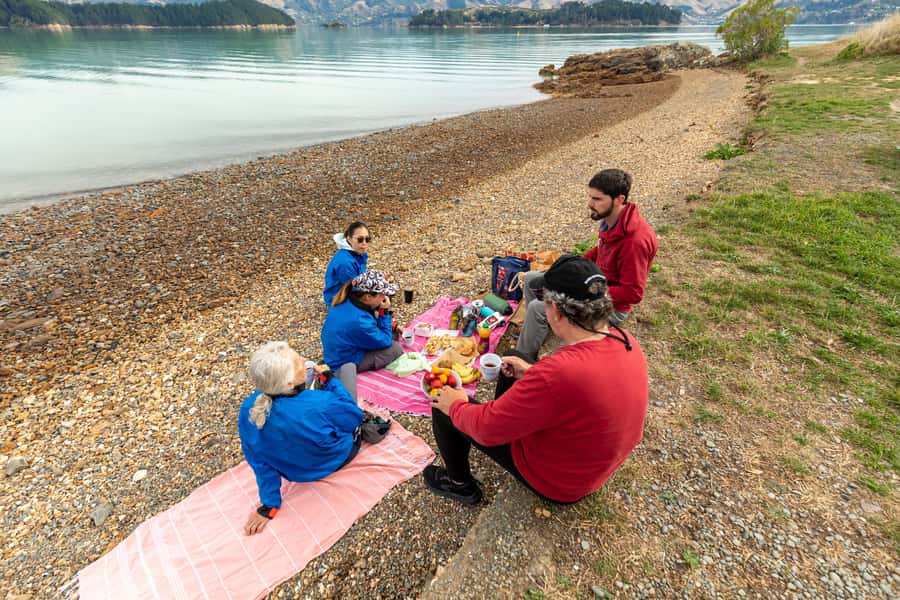 Christchurch: Sea Kayaking Tour of Lyttelton Harbour - Small bays, cliffs, and quiet beaches