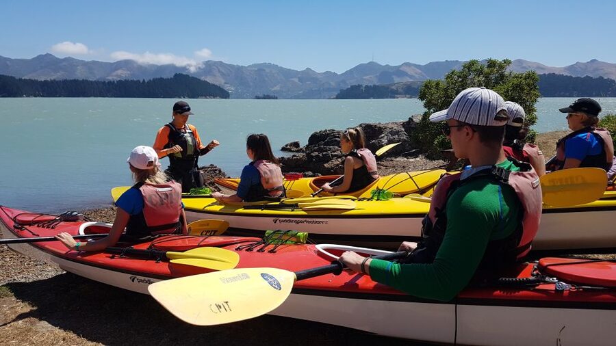 Christchurch: Sea Kayaking Tour of Lyttelton Harbour - Quail Island and its unusual past