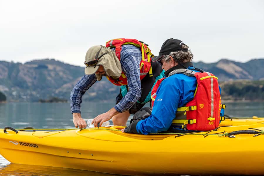 Christchurch: Sea Kayaking Tour of Lyttelton Harbour - The ship graveyard and sea caves