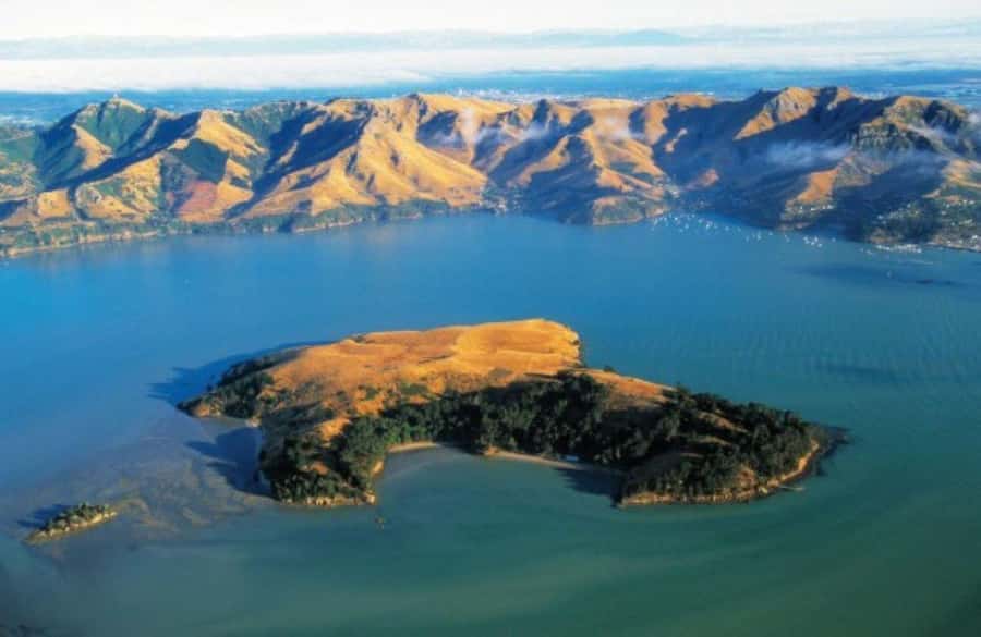 Christchurch: Sea Kayaking Tour of Lyttelton Harbour - Who will enjoy this day most