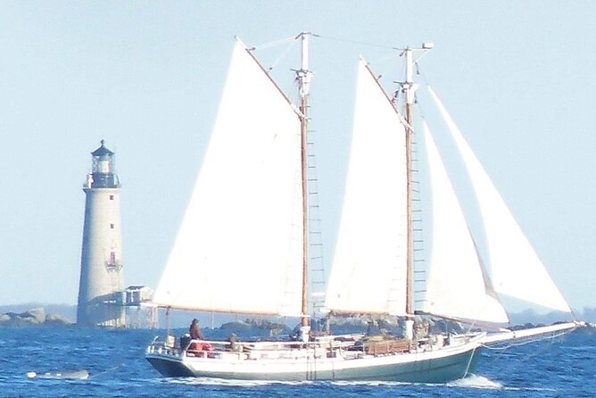 Classic Tall Ship Cruise in Boston Harbor - Small practical details that improve the experience