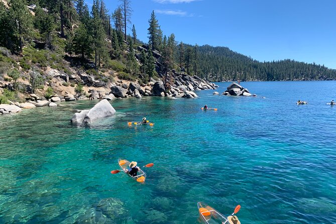 Clear Kayak Paddle Tour - Timing, weather, and what to pack