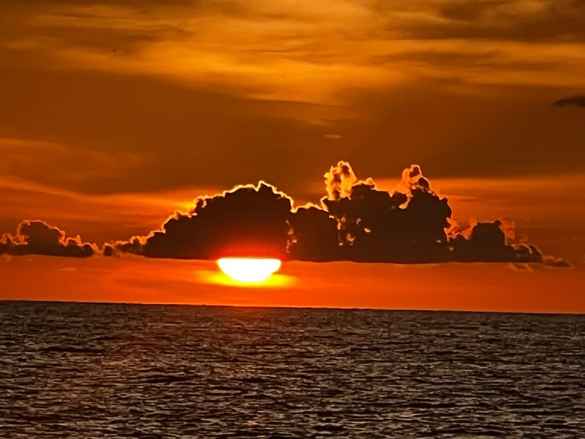 Clearwater Beach: Sunset and Harbor Lights Cruise - Dolphins without a staged wildlife show