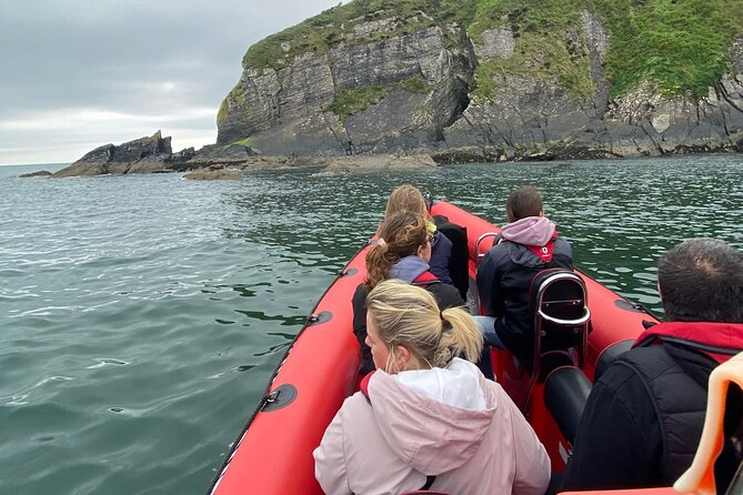 Cork Harbour RIB Tour - What the RIB Ride Feels Like in Practice