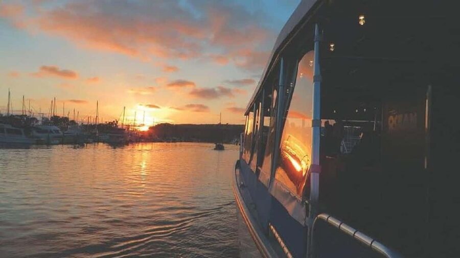 Dana Point: Evening Harbor Wine Cruise with snacks - How This Compares With a Dinner Cruise