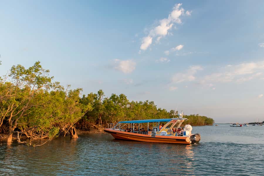 Darwin Harbour Cruise - Mangroves, mudflats, and the changing tide