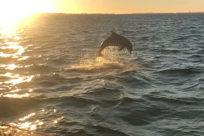 Destin's Floating Tiki Bar Cruise: 360° Harbor Views - What the 90-minute route feels like