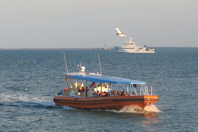 Discover Darwin Harbour 1 hour Darwin Harbour Cruise - What this Darwin Harbour cruise is really about