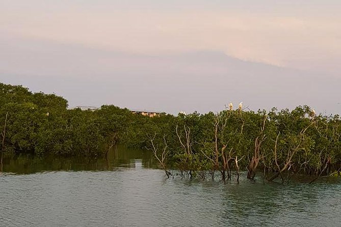 Discover Darwin Harbour 1 hour Darwin Harbour Cruise - Cyclone Tracy, shipwrecks, and a changing city