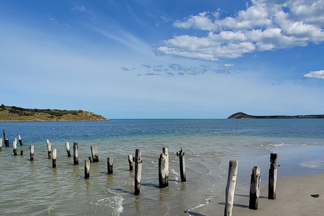 Discover Victor Harbor Walking Tour - Key points to know before you book