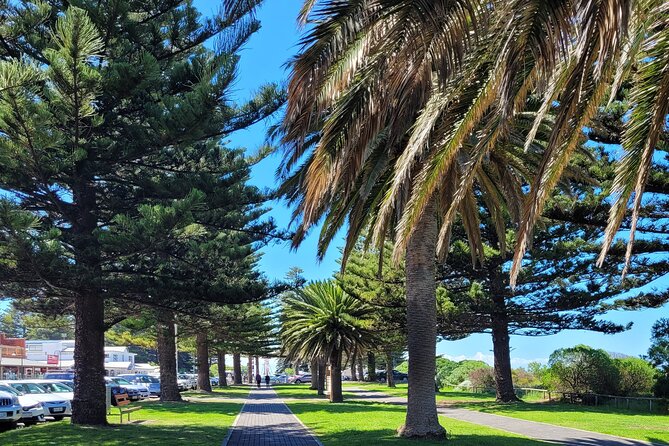 Discover Victor Harbor Walking Tour - Starting at Encounter Bay and the Granite Island Causeway