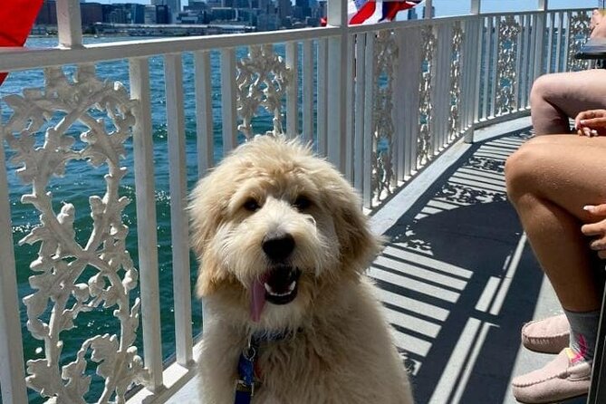 Dog Day of Summer Harbor Cruise in Boston - Food, drinks, and what the $28 price covers