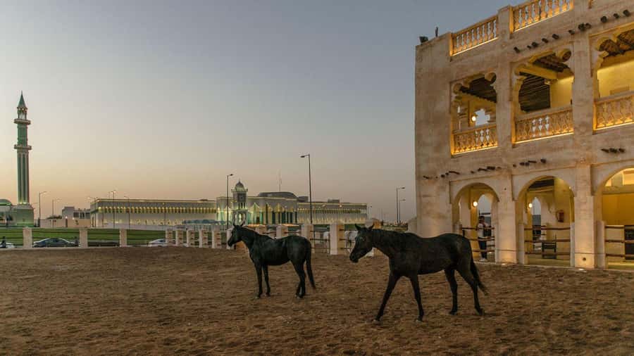 Doha City Tour from Doha Port Cruise Ship Terminal - Who should book this Doha tour