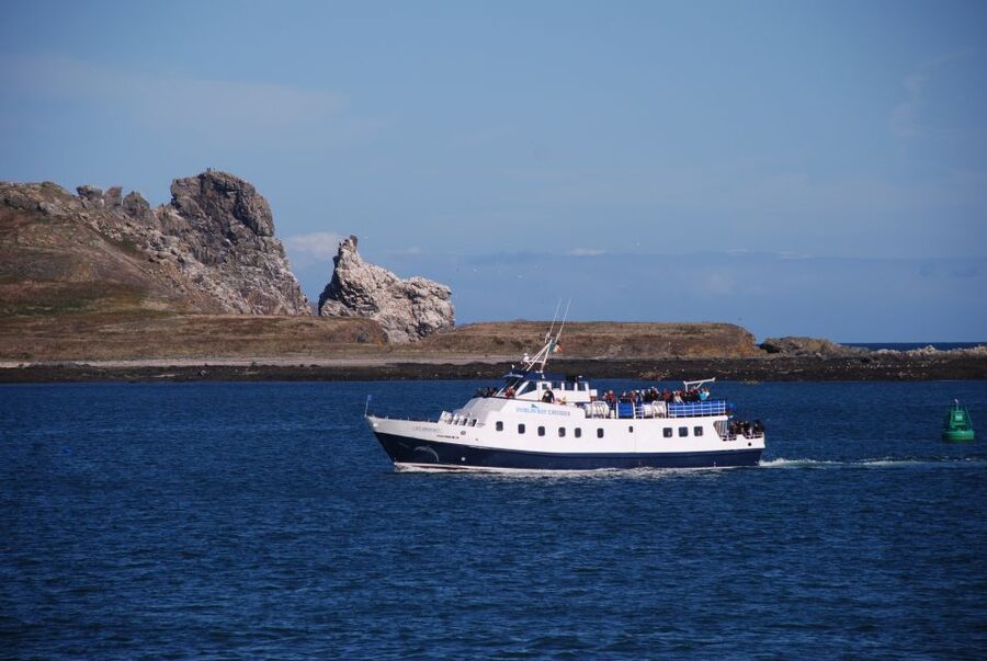 Dublin: Dublin Bay Cruise from Howth to Dun Laoghaire - Key points to know before sailing