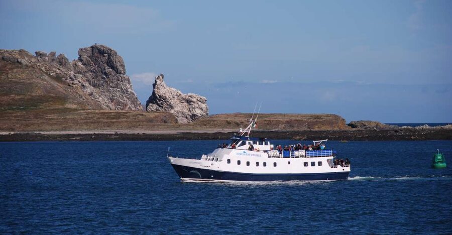 Dublin: Dublin Bay Cruise from Howth to Dun Laoghaire - Ireland’s Eye and Lambay Island from the north