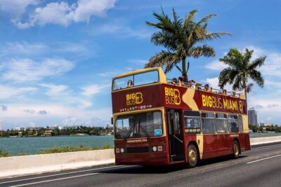 Everglades, Boat Cruise & Open-Top Bus Tour From Miami