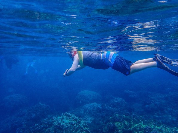 Four Winds Molokini Snorkeling Tour from Maalaea Harbor - Two hours at Molokini Crater
