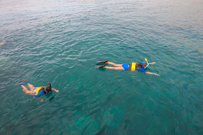 Four Winds Molokini Snorkeling Tour from Maalaea Harbor - Optional extras and added costs