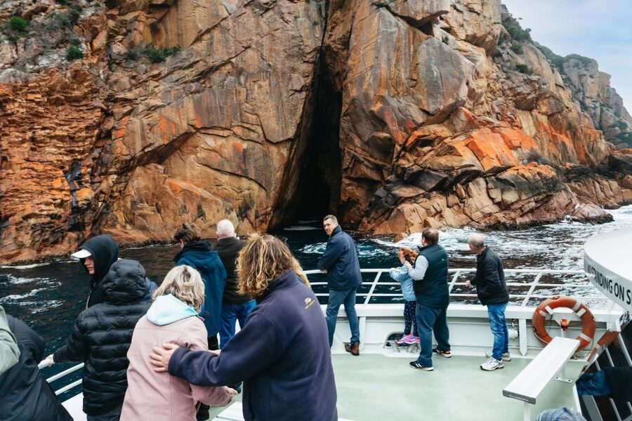 From Coles Bay: Wineglass Bay Cruise with Lunch - Wildlife watching along the Tasmanian coast