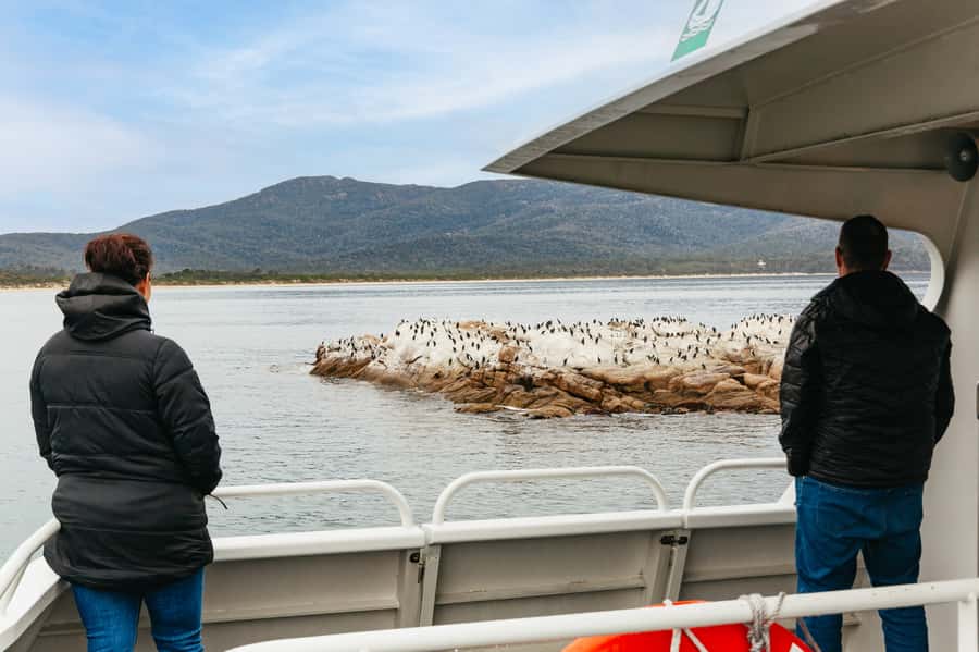 From Coles Bay: Wineglass Bay Cruise with Lunch - What the $141 price includes