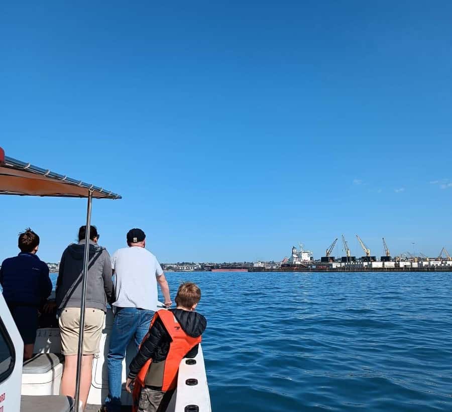 Gqeberha: 30 MINUTE HARBOUR CRUISE - Key points to know before you book
