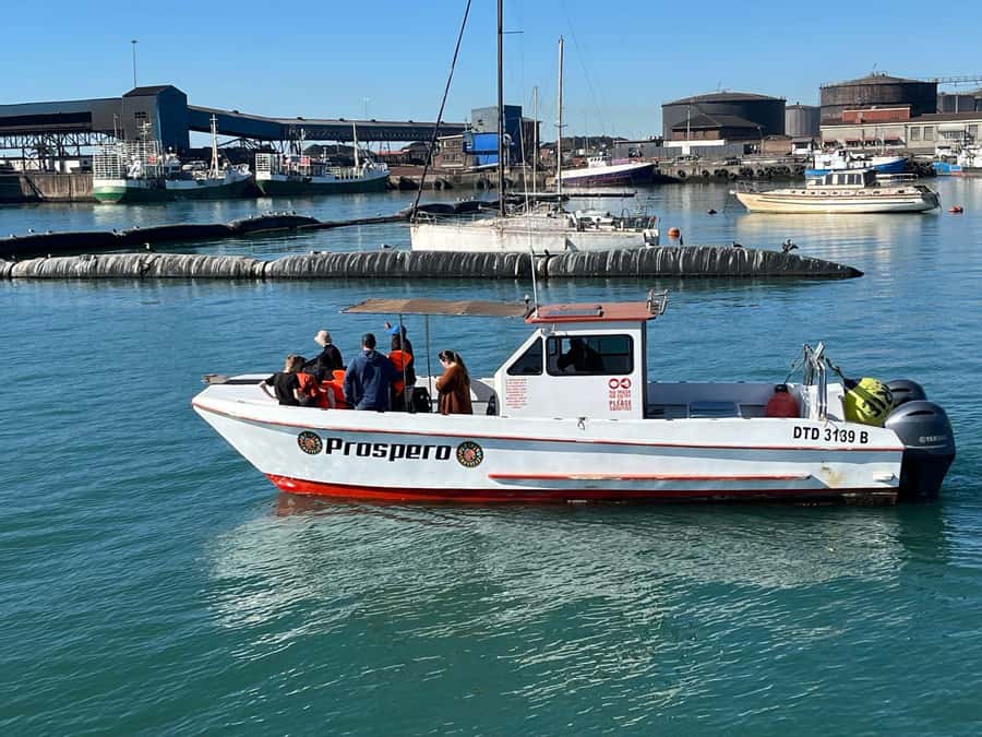 Gqeberha: 30 MINUTE HARBOUR CRUISE - The harbour, not the beach, is the point