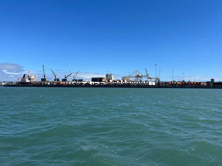 Gqeberha: 30 MINUTE HARBOUR CRUISE - Why the small group matters