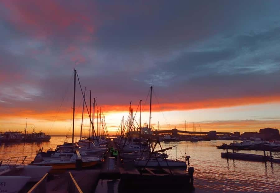 Gqeberha: 30 MINUTE HARBOUR CRUISE - Is $18 good value?