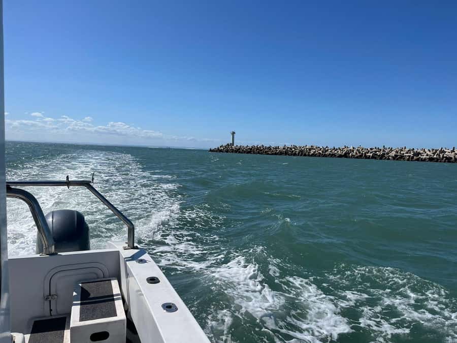 Gqeberha: 30 MINUTE HARBOUR CRUISE - A good family activity, with the right expectations