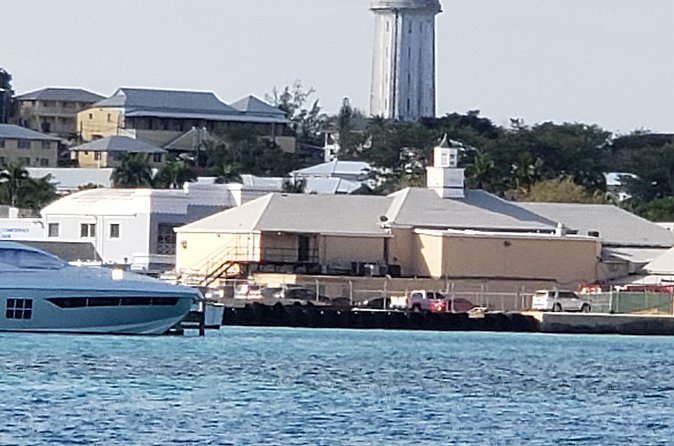Half-Day Guided Boat Tour of Nassau Harbour and Rose Island - Who will get the most from this outing