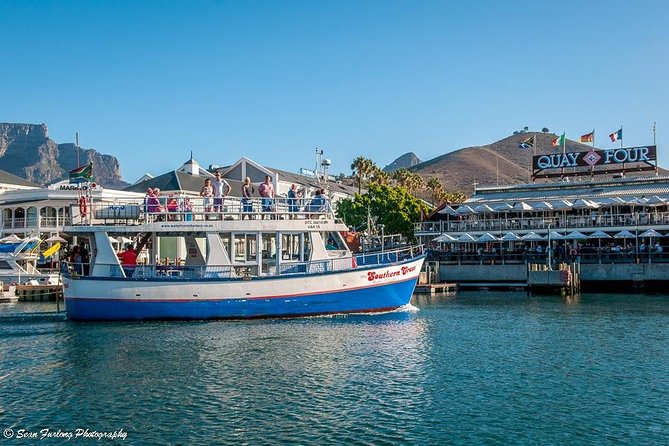 Half Hour Seal and Harbour Cruise from Cape Town - Key points to know before boarding
