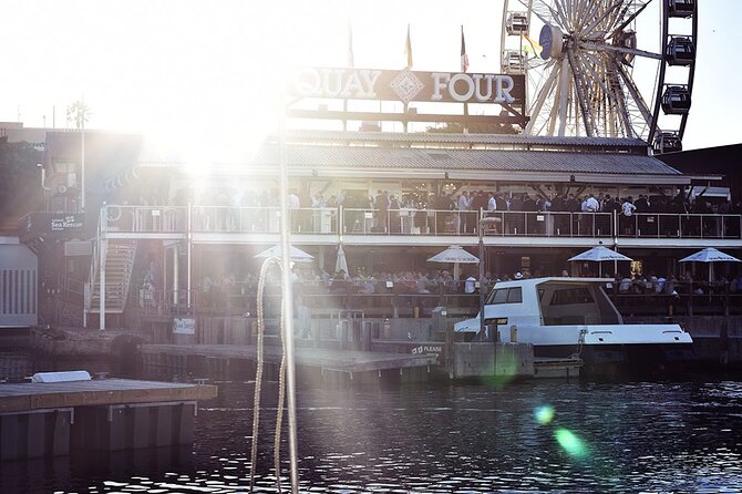 Half Hour Seal and Harbour Cruise from Cape Town - A good photo stop from the water