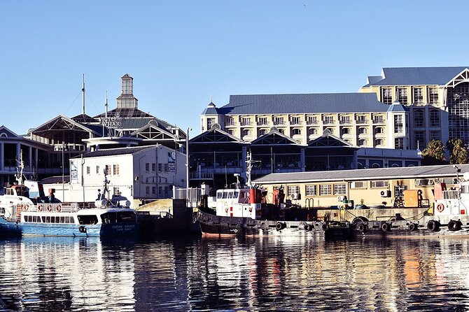 Half Hour Seal and Harbour Cruise from Cape Town - The family factor and the feel onboard