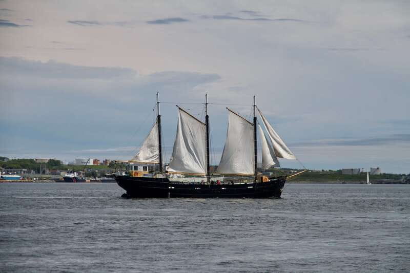 Halifax: Tall Ship Harbor Sailing Cruise with Live Music - Key points at a glance