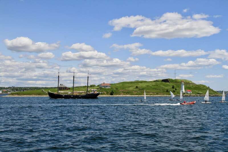 Halifax: Tall Ship Harbor Sailing Cruise with Live Music - Live music is a major part of the experience