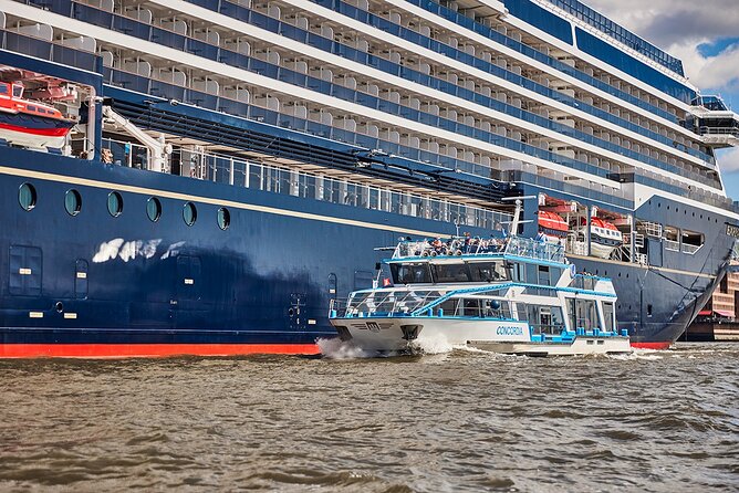 Hamburg: 1-hour harbor tour - Altona Fish Market and the Elbe waterfront