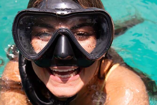 Harbour Lights-Chair &Turtle Shipwreck Snorkel Tour(10:30-1:30pm) - A reserved patch of Carlisle Bay